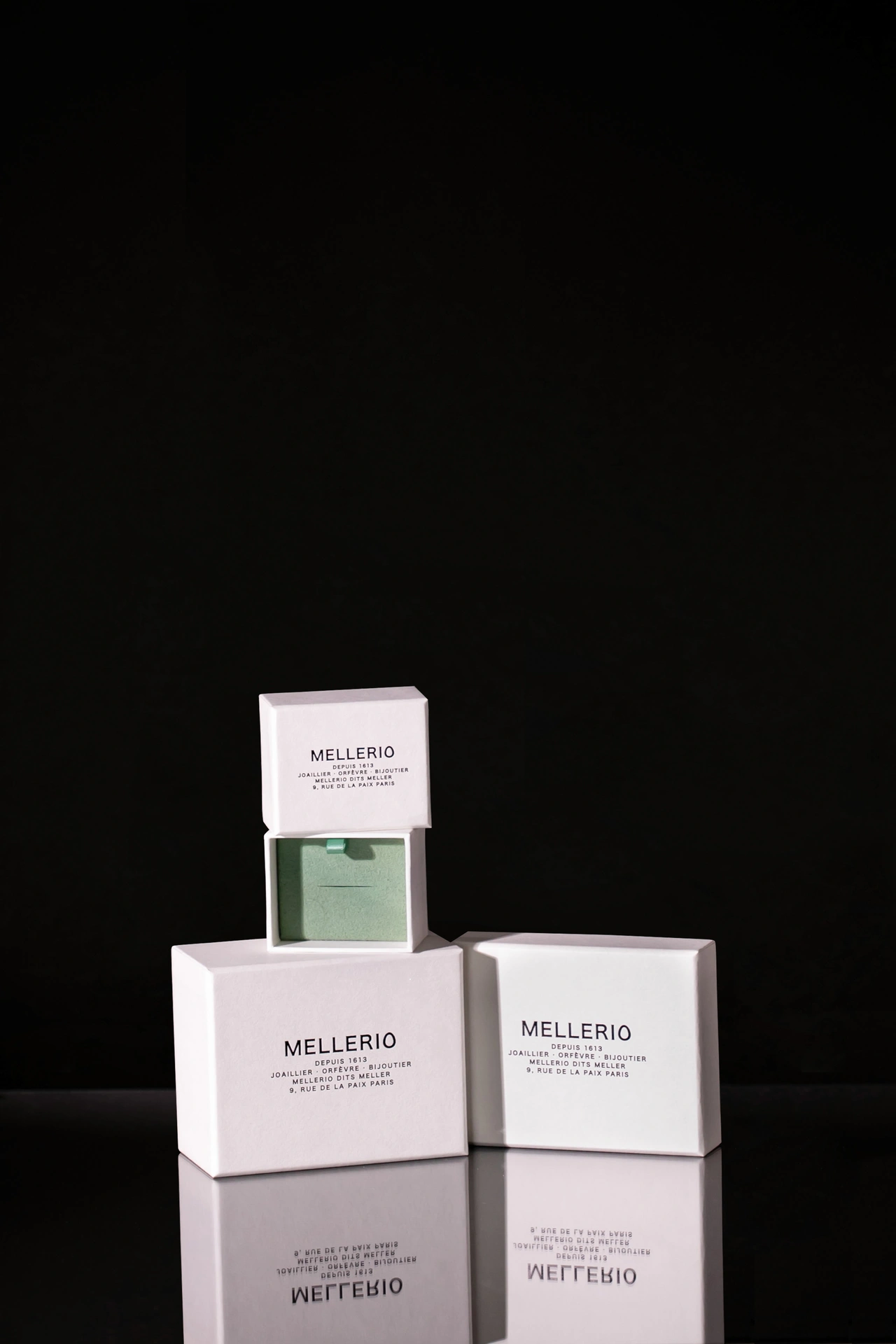 Écrin à bijoux sur mesure Mellerio